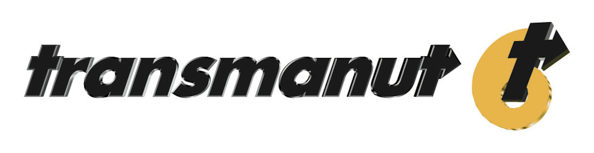 TRANSMANUT