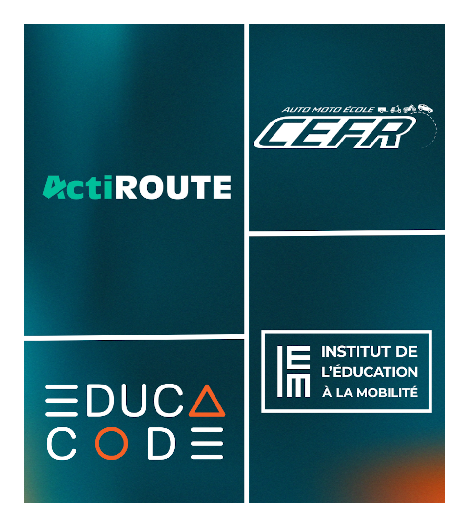INSTITUT DE L'EDUCATION A LA MOBILITE