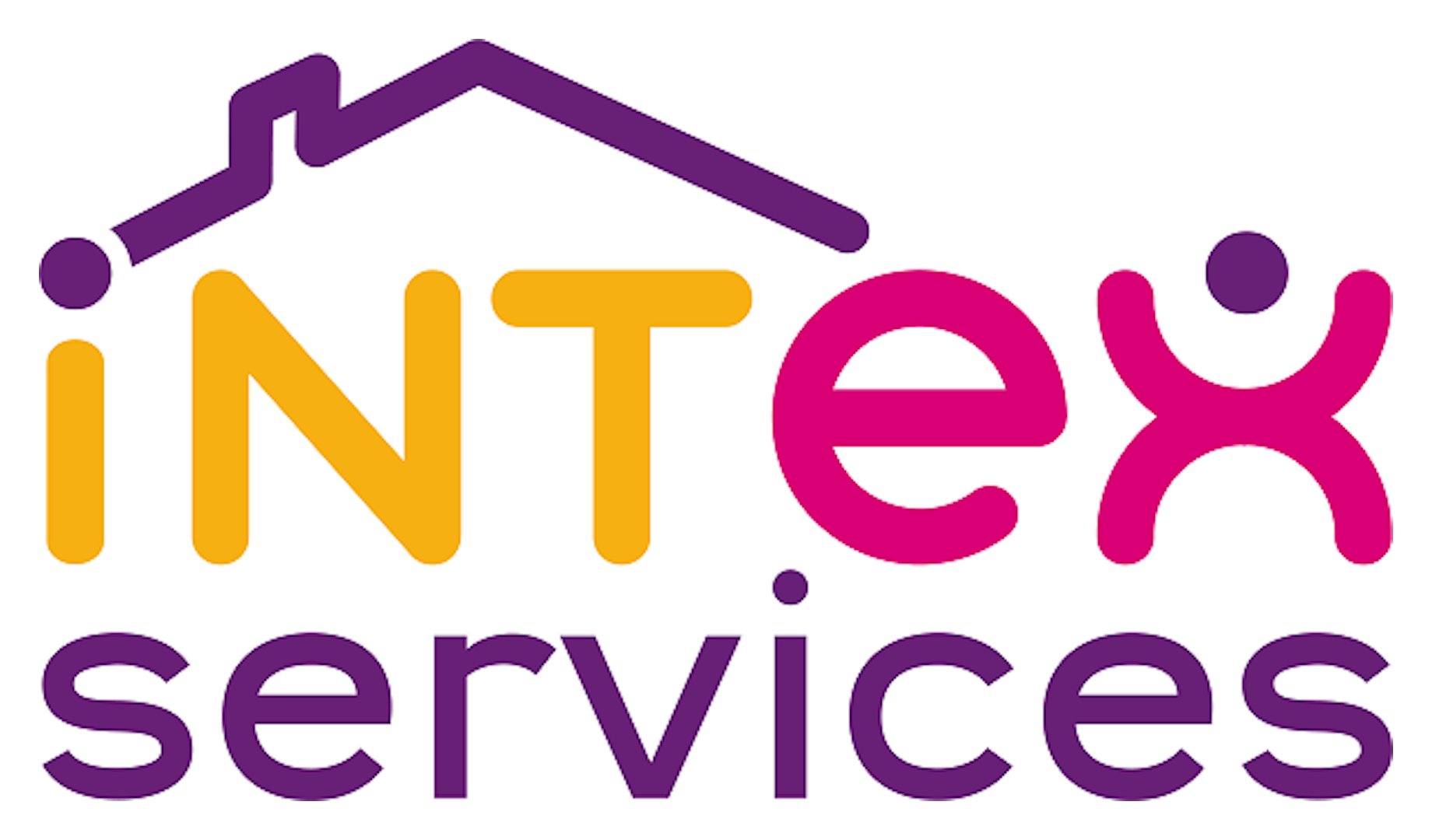 Intex Services