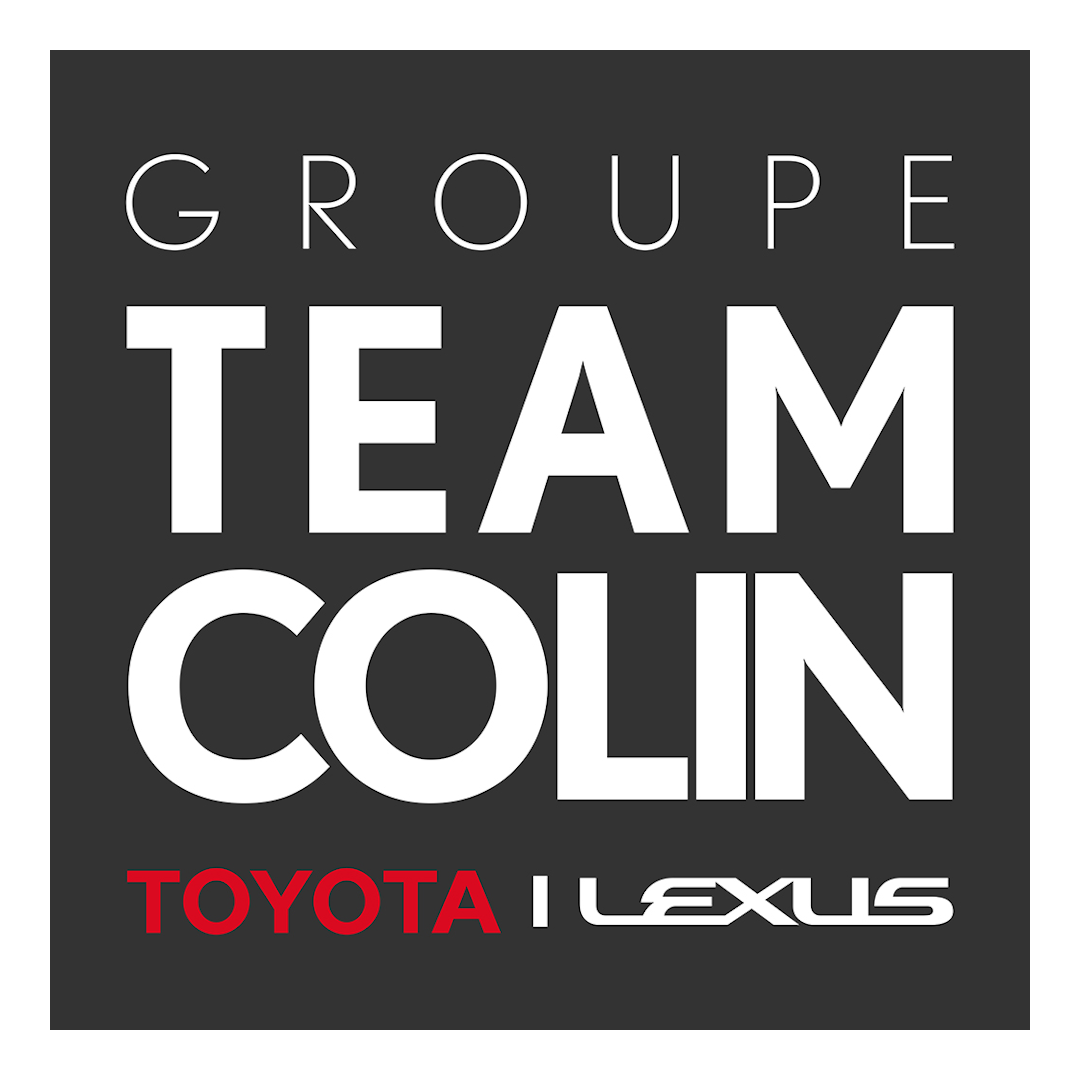 27705 - TEAM TOY NOISY